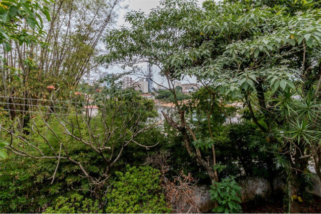 Imagem Casa com 3 Quartos à Venda, em Pacaembu - São Paulo Imagem Casa com 3 Quartos à Venda, em Pacaembu - São Paulo