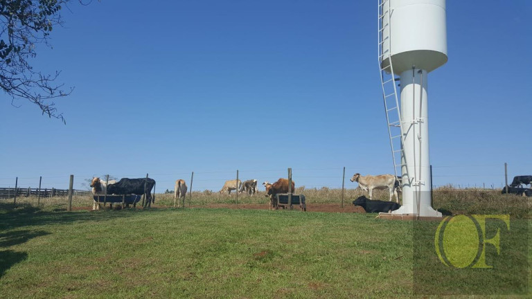 Imagem Chácara à Venda, 28 m² em Rural - águas De Santa Bárbara