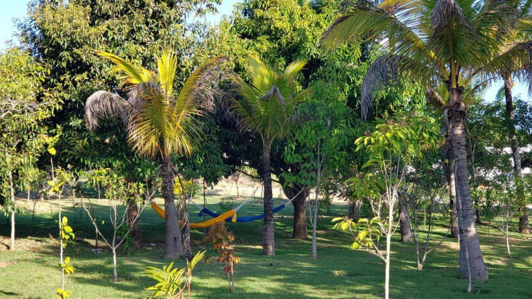 Imagem Terreno à Venda, 400 m² em Itapecirica - Taubaté Imagem Terreno à Venda, 400 m² em Itapecirica - Taubaté