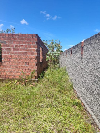 Imagem Casa com 2 Quartos à Venda, 180 m² em Cruz De Rebouças - Igarassu