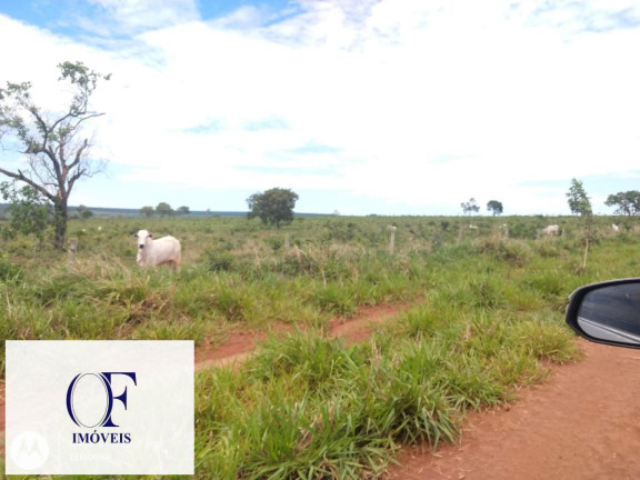 Imagem Fazenda à Venda, 3.097 m² em Rural - Chapadão Do Sul