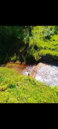 Imagem Imóvel à Venda, 42.500 m² em Matulao - Tijucas Do Sul Imagem Imóvel à Venda, 42.500 m² em Matulao - Tijucas Do Sul