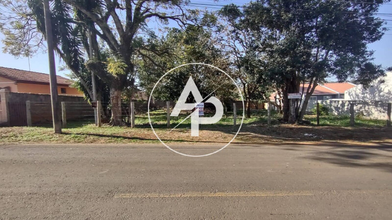 Imagem Terreno à Venda, 462 m² em Uvaranas - Ponta Grossa