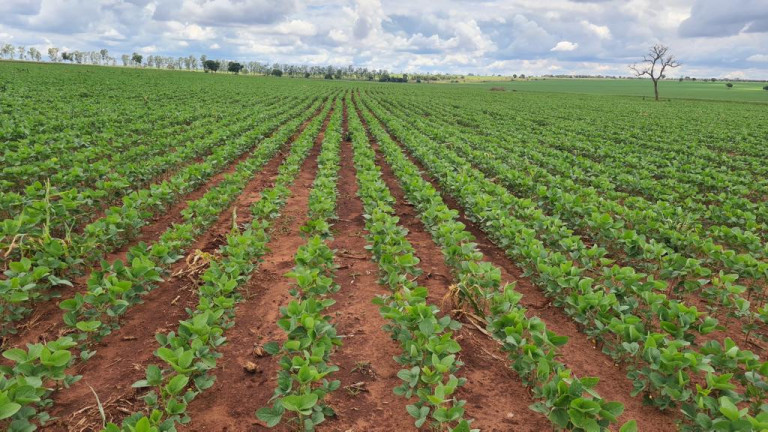 Imagem Imóvel à Venda, 9.680.000 m² em Rural - Bataguassu Imagem Imóvel à Venda, 9.680.000 m² em Rural - Bataguassu