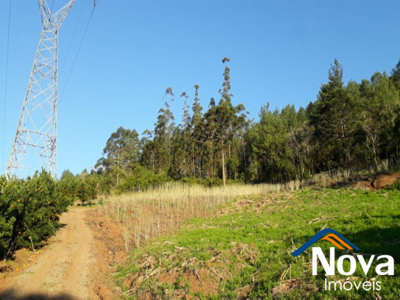 Imagem Imóvel à Venda, 60.000 m² em Linha Riachuelo - Nova Petrópolis Imagem Imóvel à Venda, 60.000 m² em Linha Riachuelo - Nova Petrópolis