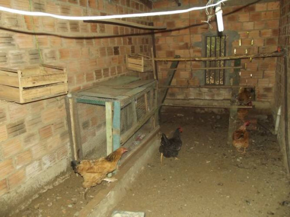 Imagem Chácara com 3 Quartos à Venda, 1.600 m² em águas Claras - Viamão