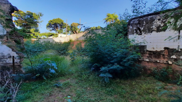 Imagem Terreno à Venda, 378 m² em Gutierrez - Belo Horizonte Imagem Terreno à Venda, 378 m² em Gutierrez - Belo Horizonte