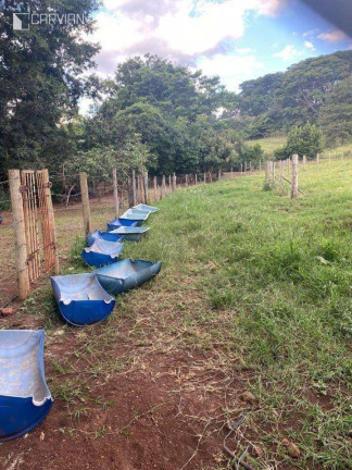Imagem Fazenda à Venda, 6 m² em Zona Rural - São Simão Imagem Fazenda à Venda, 6 m² em Zona Rural - São Simão