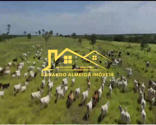 Imagem Imóvel à Venda,  em Barreira Da Onça - Arraias