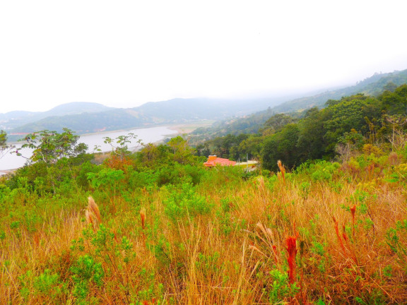 Imagem Terreno à Venda, 46.578 m² em Macacu - Garopaba Imagem Terreno à Venda, 46.578 m² em Macacu - Garopaba