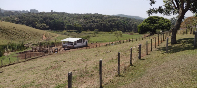 Imagem Fazenda à Venda, 100 m² em Centro - Guaratinguetá Imagem Fazenda à Venda, 100 m² em Centro - Guaratinguetá