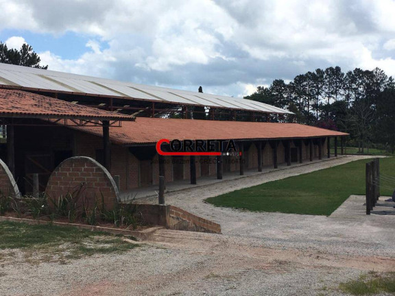 Imagem Chácara com 10 Quartos à Venda, 3 m² em Ibiúna Imagem Chácara com 10 Quartos à Venda, 3 m² em Ibiúna