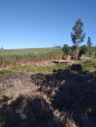 Imagem Chácara à Venda, 19 m² em Rural - Capão Bonito Imagem Chácara à Venda, 19 m² em Rural - Capão Bonito