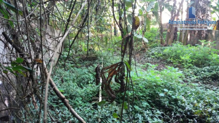 Imagem Chácara à Venda, 1.969 m² em Baldeador - São Gonçalo Imagem Chácara à Venda, 1.969 m² em Baldeador - São Gonçalo