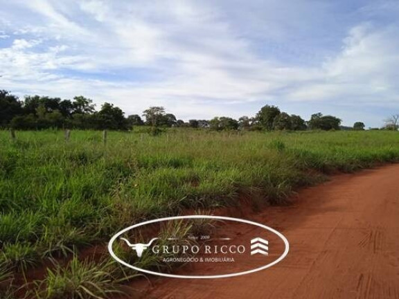 Imagem Fazenda à Venda, em Zona Rural - Montes Claros De Goiás Imagem Fazenda à Venda, em Zona Rural - Montes Claros De Goiás