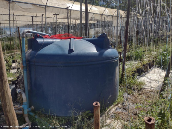 Imagem Chácara com 8 Quartos à Venda, 21.000 m² em Zona Rural - Caldas Imagem Chácara com 8 Quartos à Venda, 21.000 m² em Zona Rural - Caldas