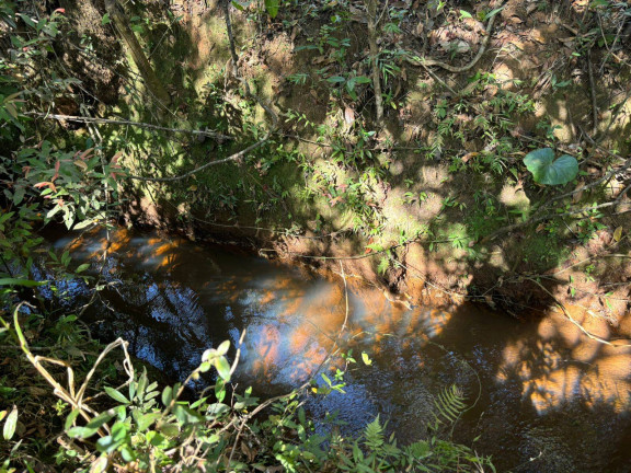 Imagem Terreno à Venda, 5.000 m² em Rio São João - Itatiaiuçu Imagem Terreno à Venda, 5.000 m² em Rio São João - Itatiaiuçu