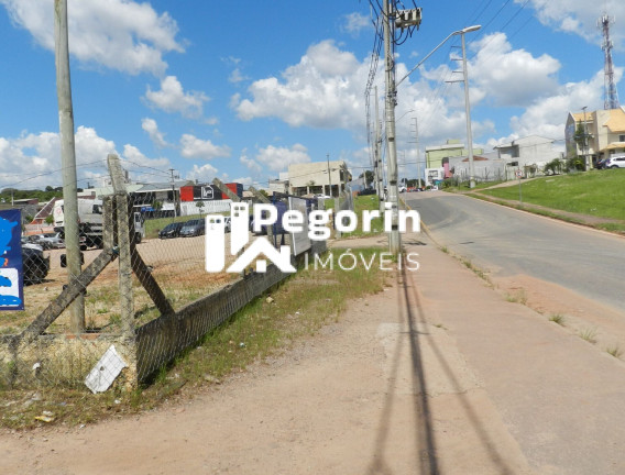 Imagem Terreno à Venda, 10.412 m² em Eucalíptos - Fazenda Rio Grande Imagem Terreno à Venda, 10.412 m² em Eucalíptos - Fazenda Rio Grande