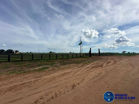 Imagem Fazenda à Venda, 650 m² em Zona Rural - Araguaiana Imagem Fazenda à Venda, 650 m² em Zona Rural - Araguaiana