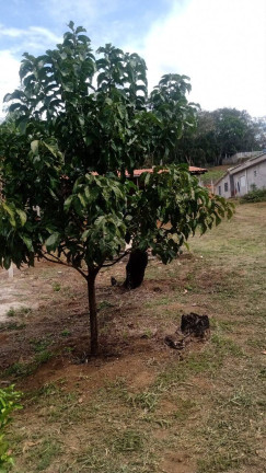 Imagem Chácara à Venda, 50 m² em Cuiabá - Nazaré Paulista Imagem Chácara à Venda, 50 m² em Cuiabá - Nazaré Paulista