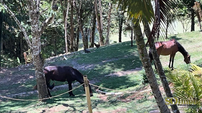 Imagem Chácara com 4 Quartos à Venda, 52.000 m² em Miracatu Imagem Chácara com 4 Quartos à Venda, 52.000 m² em Miracatu