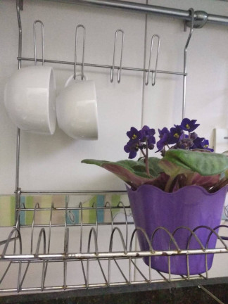 Imagem Apartamento com 1 Quarto para Alugar, 35 m² em Jardim Paulista - São Paulo Imagem Apartamento com 1 Quarto para Alugar, 35 m² em Jardim Paulista - São Paulo