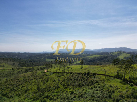Imagem Imóvel Comercial à Venda, 380.000 m² em Terra Preta - Mairiporã Imagem Imóvel Comercial à Venda, 380.000 m² em Terra Preta - Mairiporã