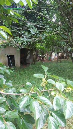 Imagem Casa com 1 Quarto à Venda,  em águas Claras - Viamão