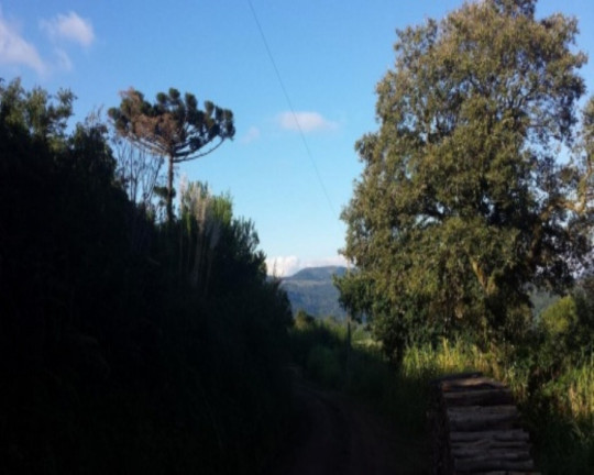 Imagem Terreno à Venda, 1 m² em São Jacó - Nova Petrópolis Imagem Terreno à Venda, 1 m² em São Jacó - Nova Petrópolis
