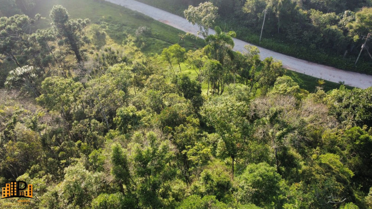 Imagem Terreno à Venda, 3.000 m² em Barrinha - São Lourenço Da Serra Imagem Terreno à Venda, 3.000 m² em Barrinha - São Lourenço Da Serra
