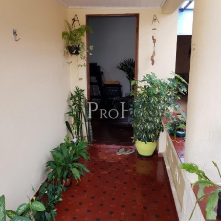 Imagem Casa com 2 Quartos à Venda, 87 m² em Vila Palmares - Santo André