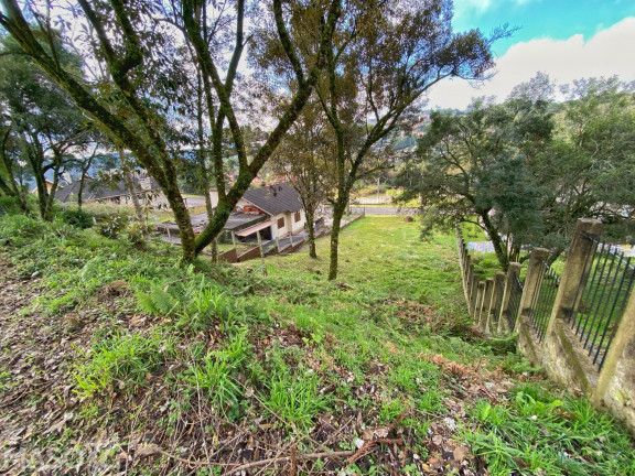 Imagem Terreno à Venda, 600 m² em Vale Das Colinas - Gramado Imagem Terreno à Venda, 600 m² em Vale Das Colinas - Gramado