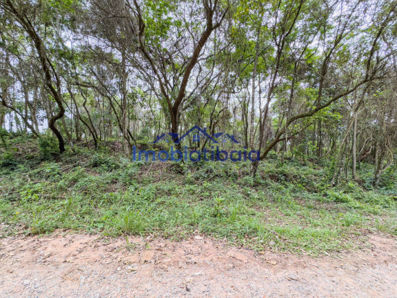 Imagem Terreno em Condomínio à Venda, 601 m² em Recanto Dos Palmares - Atibaia