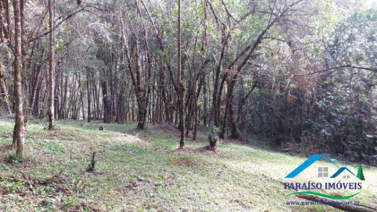 Imagem Terreno à Venda, 10.794 m² em Centro - Gonçalves