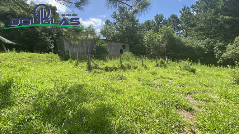 Imagem Terreno à Venda, 5.000 m² em Viamão