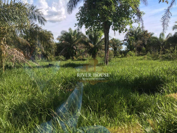 Imagem Fazenda à Venda, 2.000.000 m² em Vila Bom Jardim - Nobres Imagem Fazenda à Venda, 2.000.000 m² em Vila Bom Jardim - Nobres