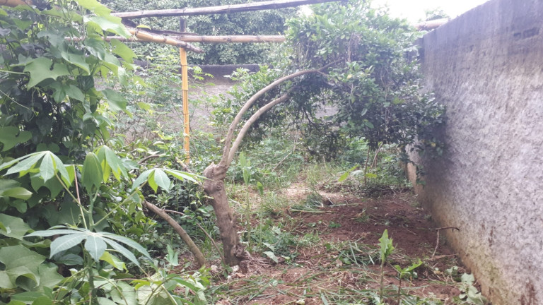 Imagem Casa com 2 Quartos à Venda, 74 m² em Vila São João - Pindamonhangaba Imagem Casa com 2 Quartos à Venda, 74 m² em Vila São João - Pindamonhangaba