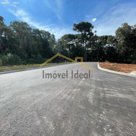 Imagem Terreno à Venda, 230 m² em Costeira - Araucária Imagem Terreno à Venda, 230 m² em Costeira - Araucária