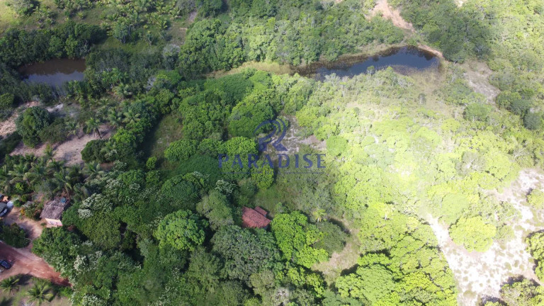 Imagem Fazenda à Venda, 592.700 m² em Monte Gordo (monte Gordo) - Camaçari Imagem Fazenda à Venda, 592.700 m² em Monte Gordo (monte Gordo) - Camaçari
