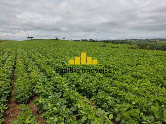 Imagem Chácara à Venda, 20 m² em Pilar Do Sul Imagem Chácara à Venda, 20 m² em Pilar Do Sul