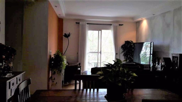 Imagem Apartamento com 3 Quartos à Venda, 82 m² em Paraíso Do Morumbi - São Paulo Imagem Apartamento com 3 Quartos à Venda, 82 m² em Paraíso Do Morumbi - São Paulo