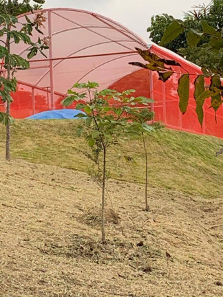 Imagem Chácara à Venda, 20 m² em Itapetinga - Atibaia Imagem Chácara à Venda, 20 m² em Itapetinga - Atibaia