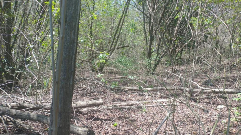 Imagem Terreno à Venda, 3.100 m² em Guaratiba - Rio De Janeiro