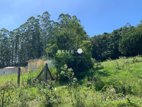 Imagem Imóvel à Venda, 826 m² em Vila São João - Torres Imagem Imóvel à Venda, 826 m² em Vila São João - Torres