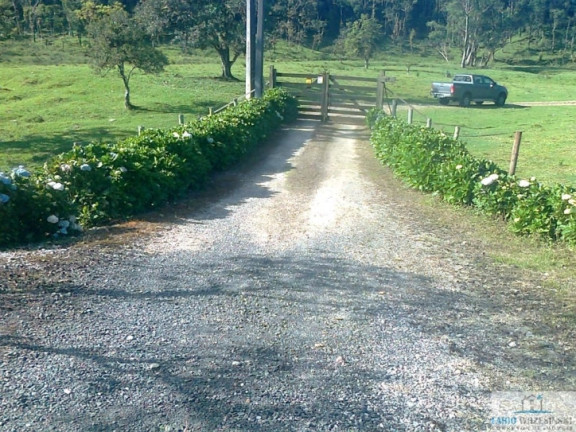 Imagem Chácara com 3 Quartos à Venda, 1.000 m² em Pirabeiraba (pirabeiraba) - Joinville