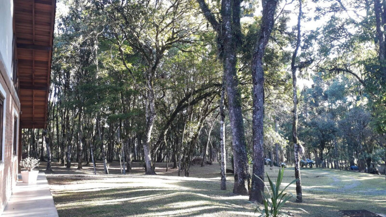 Imagem Chácara com 3 Quartos à Venda, 129 m² em Centro - Campo Largo Imagem Chácara com 3 Quartos à Venda, 129 m² em Centro - Campo Largo