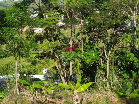 Imagem Chácara com 1 Quarto à Venda, 2.335 m² em São Caetano - Italva Imagem Chácara com 1 Quarto à Venda, 2.335 m² em São Caetano - Italva