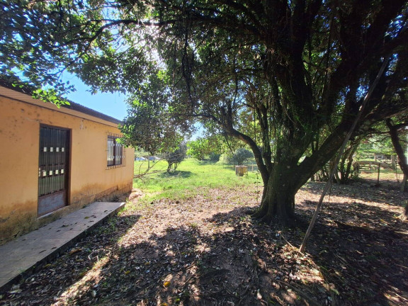 Imagem Chácara com 3 Quartos à Venda, 3.000 m² em Lombas - Viamão