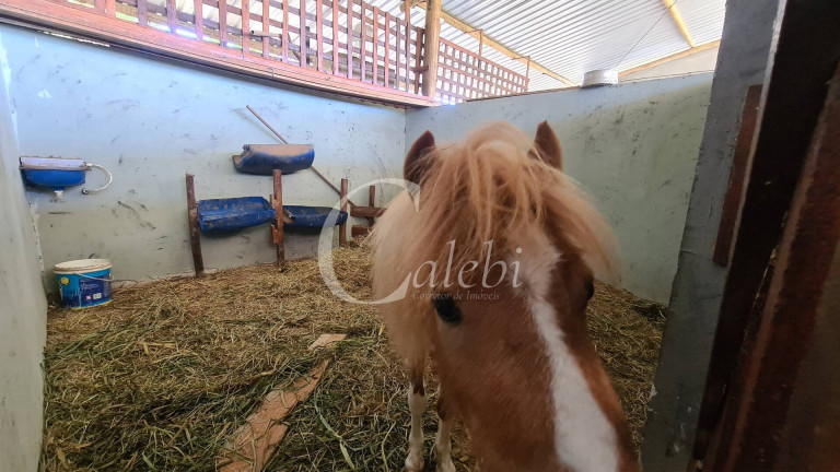 Imagem Chácara à Venda, 3 m² em área Rural De Mogi Mirim - Moji Mirim Imagem Chácara à Venda, 3 m² em área Rural De Mogi Mirim - Moji Mirim