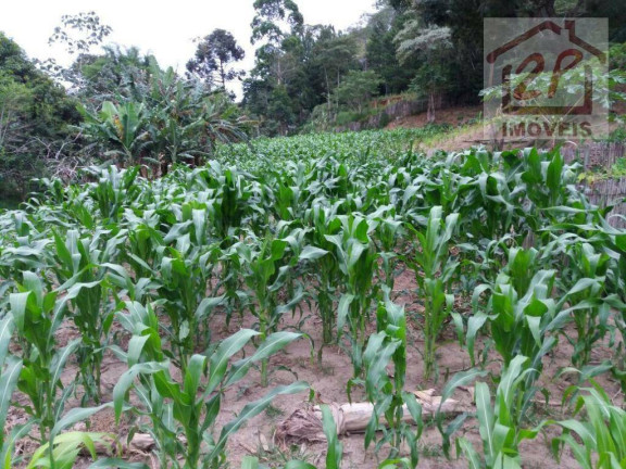 Imagem Fazenda à Venda, 70.000 m² em Tapanhão - Jambeiro Imagem Fazenda à Venda, 70.000 m² em Tapanhão - Jambeiro